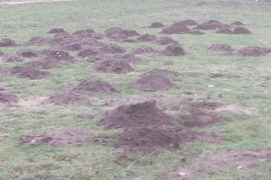 20150126110037~31770325972